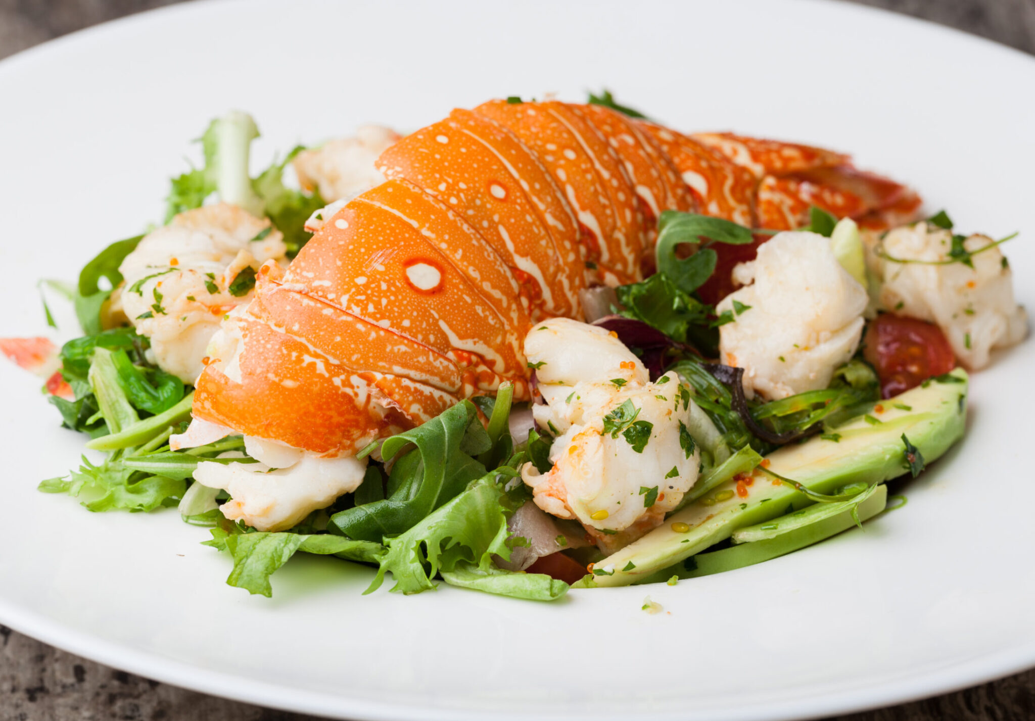 Savage Twin Lobster | Fresh & Delicious | Salad Savage